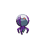 shiny (dorso)