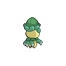 shiny (dorso)