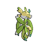 shiny (dorso)