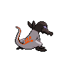 shiny (dorso)