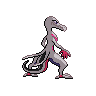 shiny (dorso)
