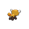 shiny (dorso)