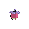 shiny (dorso)