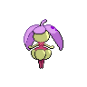 shiny (dorso)