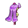 shiny (dorso)
