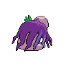 shiny (dorso)