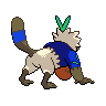 shiny (dorso)