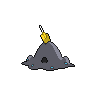 shiny (dorso)