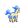 shiny (dorso)