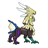 shiny (dorso)