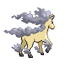 shiny (dorso)