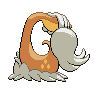 shiny (dorso)