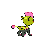 shiny (dorso)