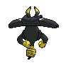 shiny (dorso)