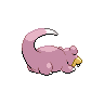 shiny (dorso)