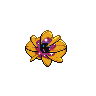 shiny (dorso)