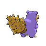 shiny (dorso)