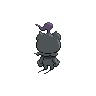 shiny (dorso)