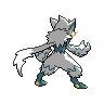shiny (dorso)