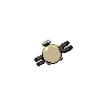 shiny (dorso)