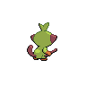shiny (dorso)