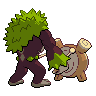 shiny (dorso)