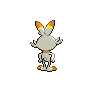 shiny (dorso)