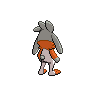 shiny (dorso)