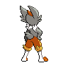 shiny (dorso)