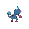 shiny (dorso)