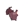 shiny (dorso)