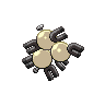 shiny (dorso)