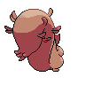 shiny (dorso)