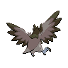 shiny (dorso)