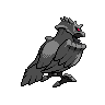 shiny (dorso)