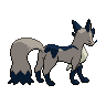 shiny (dorso)