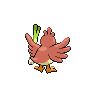 shiny (dorso)