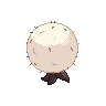 shiny (dorso)