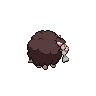 shiny (dorso)