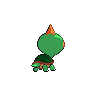 shiny (dorso)