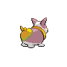 shiny (dorso)
