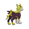 shiny (dorso)