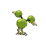 shiny (dorso)