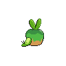 shiny (dorso)