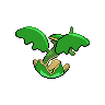 shiny (dorso)