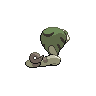 shiny (dorso)