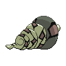 shiny (dorso)