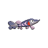 shiny (dorso)