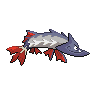 shiny (dorso)