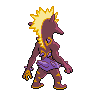 shiny (dorso)